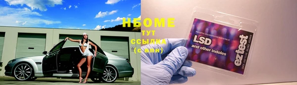 соль ск Алексин