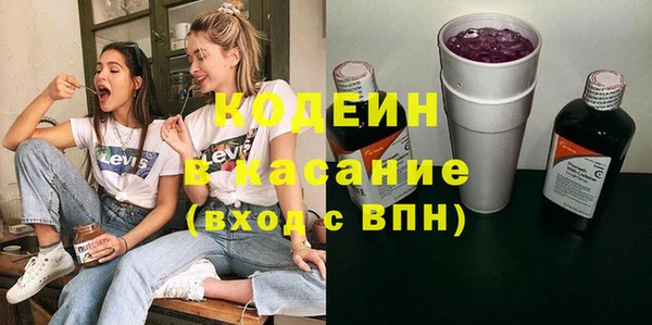 индика Абинск