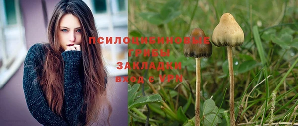 винт Абдулино