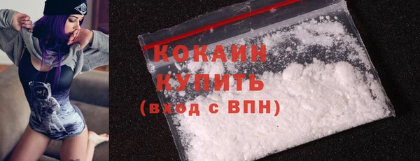 индика Абинск