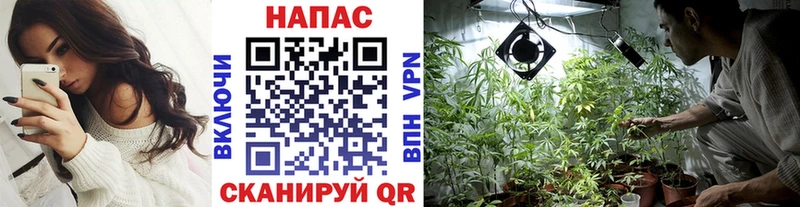 Шишки марихуана семена  как найти наркотики  ссылка на мегу ссылки  Брюховецкая 